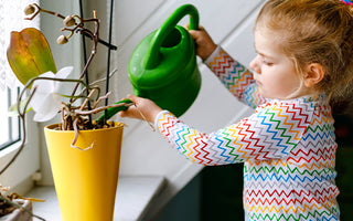 Consejos para cuidar el agua en casa