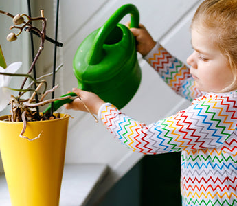 Consejos para cuidar el agua en casa