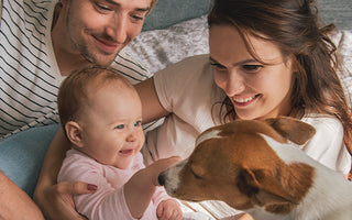 Niños y mascotas: ¿Cómo convivir de manera segura y feliz?