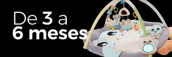 3 a 6 meses