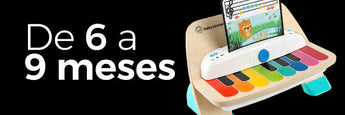 6 a 9 meses