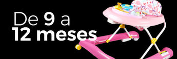 9 a 12 meses