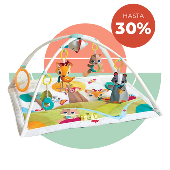 Gimnasios y Alfombras