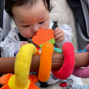 Juguetero Para Coche Jardín Maravilloso Playgro