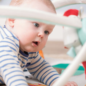 Gimnasio Into The Forest Gymini Deluxe Tiny love