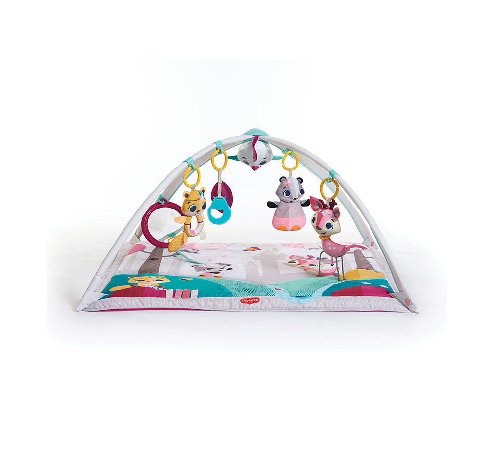 Gimnasio Tiny Princess Tales Gymini Deluxe