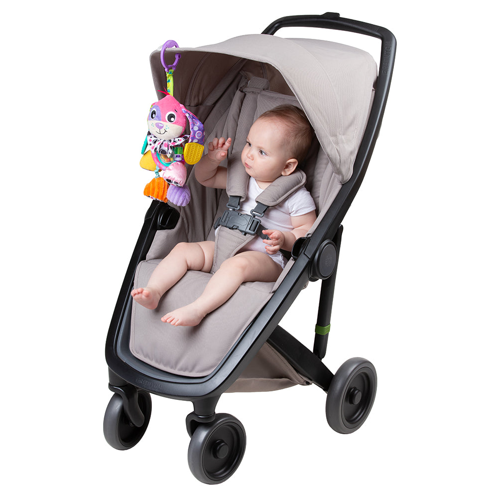Colgante Activity Friend Perro Dixie Playgro