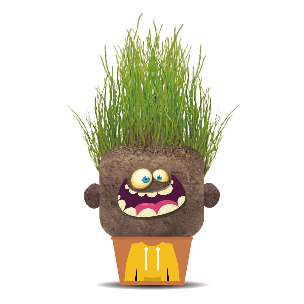 Plant Pals - Happy Hank Hape
