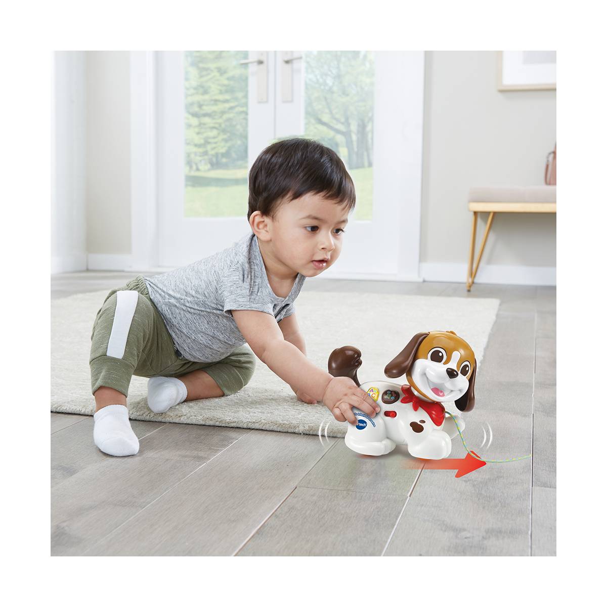 Perrito Infantil de Arrastre Paseos y Aventuras Vtech