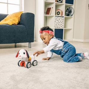 Perrito Follow Me Charlie Tiny Love